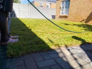 Delivery and installa buffalo grass