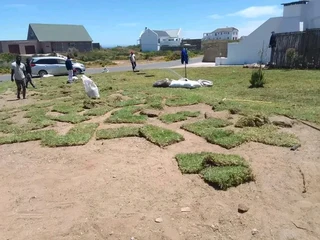 We do supply and installa off fresh grass