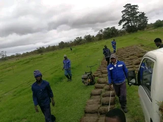 We do supply and installa off fresh grass