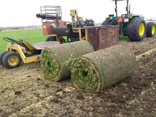 We do supply and installa off fresh grass