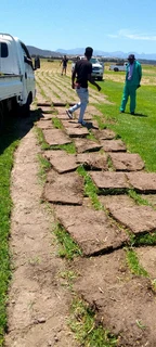 We do supply and installa off fresh grass