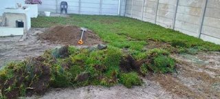 We do supply and installa off fresh grass