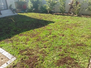 We do supply and installa off fresh grass