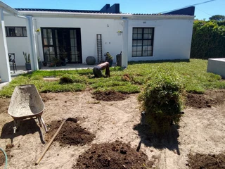 Roll on lawn Lm Berea grass