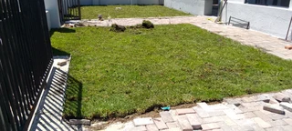 Roll on lawn Lm Berea grass