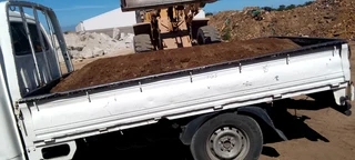 Roll on lawn Lm Berea grass