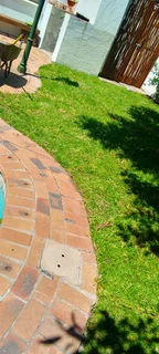 Roll on lawn Kikuyu grass