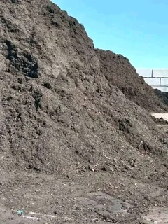 Roll on lawn Kikuyu grass