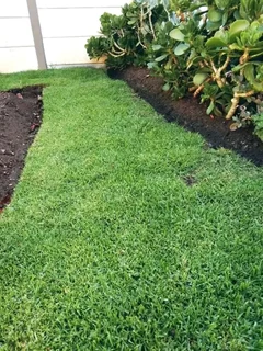 We have stock price of national grass