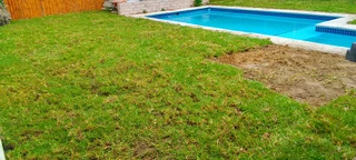 Supply and installa off roll on lawn Lm Berea grass