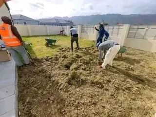 Supply and installa off roll on lawn Lm Berea grass