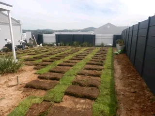 We have stock of national grass green and fresh