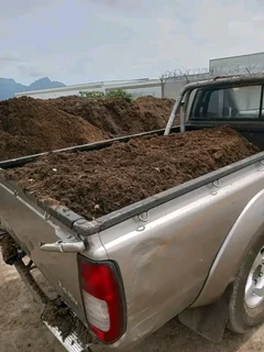 100%Roll on lawn green grass