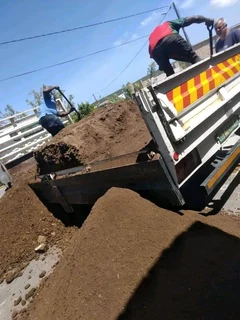 100%Roll on lawn green grass