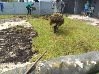 100%Roll on lawn green grass