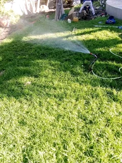 Delivery and installa Lm Berea grass