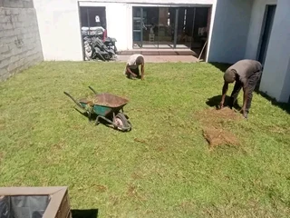 Delivery and installa Lm Berea grass