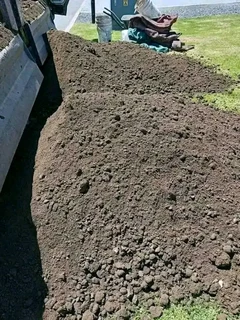 Delivery and installa Lm Berea grass