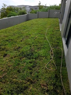 Delivery and installa Lm Berea grass
