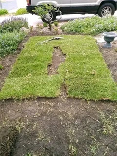 Delivery and installa Lm Berea grass