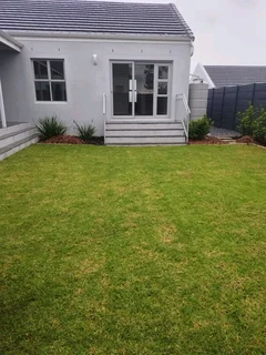 Roll on lawn   grass