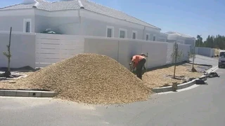 Roll on lawn   grass