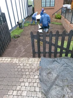 Supply and installa buffalo grass