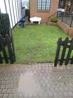 Supply and installa buffalo grass