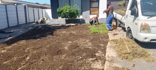 Supply and installa buffalo grass