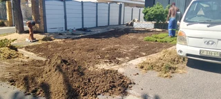 Supply and installa buffalo grass