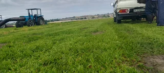 Delivery and installa Lm Berea grass