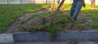 Delivery and installa Lm Berea grass