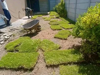 Delivery and installa Lm Berea grass