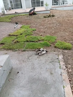 Delivery and installa Lm Berea grass