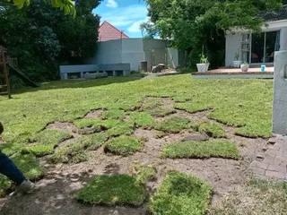 Delivery and installa Lm Berea grass