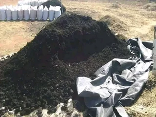 Delivery and installa Lm Berea grass