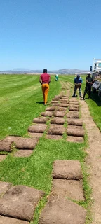 Delivery and installa off Kikuyu grass and compost weed free