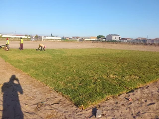 Roll on lawn Kikuyu grass