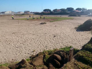 Roll on lawn Kikuyu grass