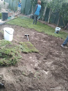 Roll on lawn Kikuyu grass