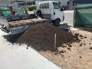 Roll on lawn Kikuyu grass