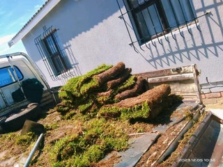 Roll on lawn Kikuyu grass