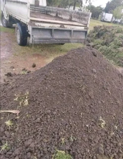 Roll on lawn Kikuyu grass