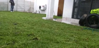 Top quality installatio green and fresh grass