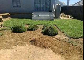 Top quality installatio green and fresh grass