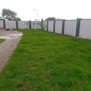 Top quality installatio green and fresh grass