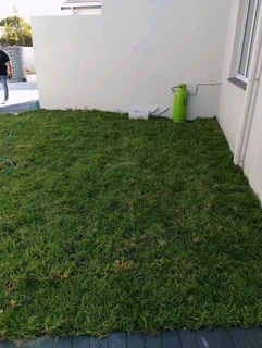 Top quality installatio green and fresh grass