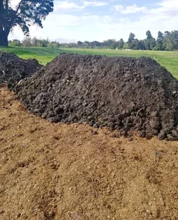 Top quality installatio green and fresh grass