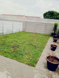 Roll on lawn Lm Berea grass