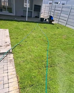 Roll on lawn Lm Berea grass